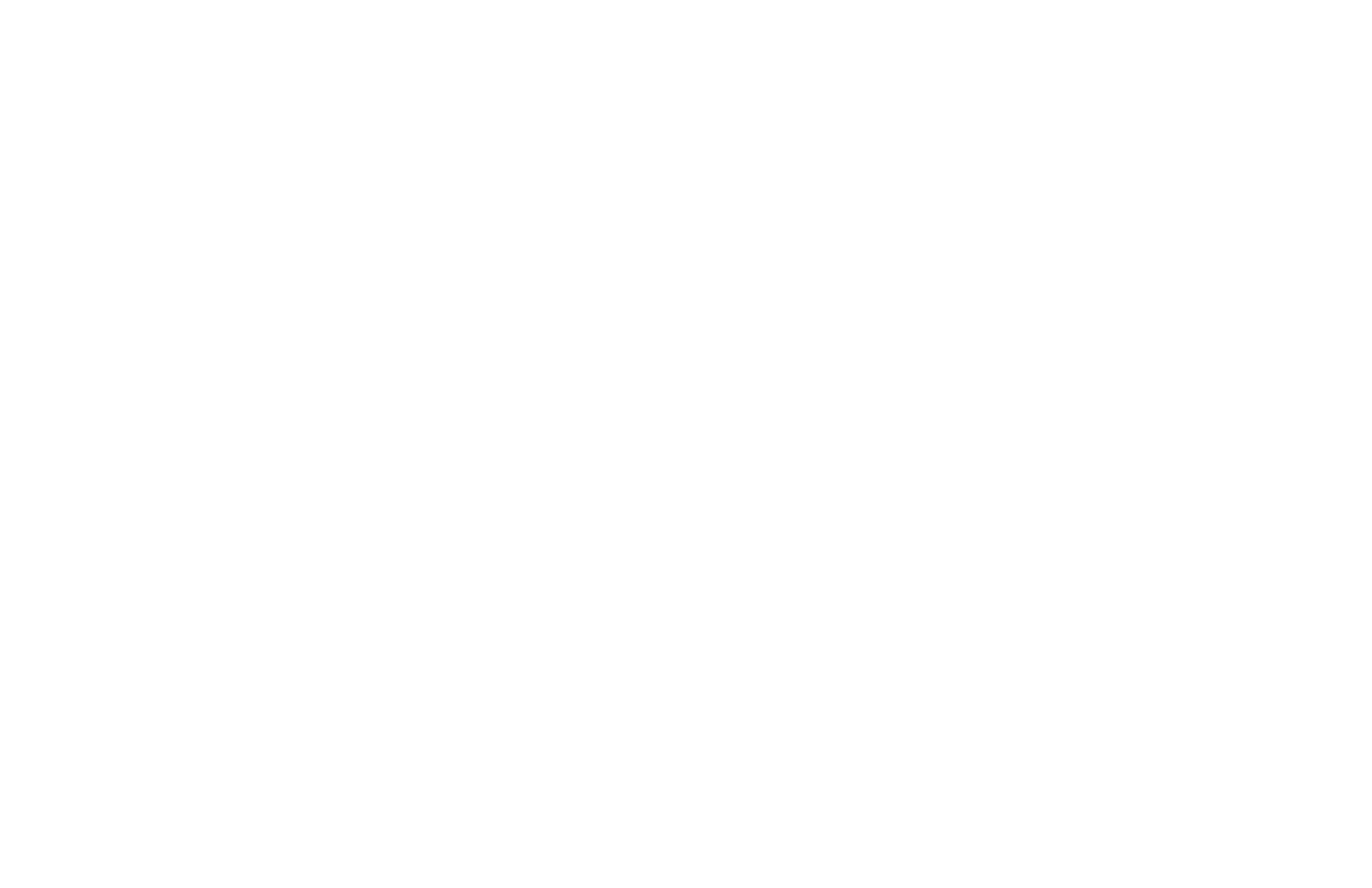 denali_logo_rev